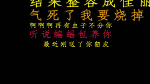 歌曲字幕快闪模板30秒视频