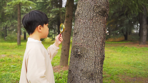 秋季公园里拿放大镜观察植物的小男孩10秒视频
