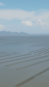 海上蚝排水产养殖三文鱼视频