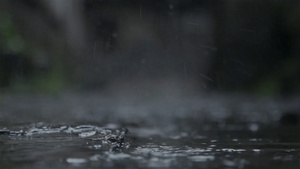 特写雨天古代屋檐上的植被10秒视频