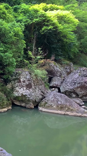 实拍5A景区鸳鸯溪景点小巫峡实拍合集旅游景区52秒视频