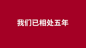 时尚婚礼快闪展示pr模板93秒视频