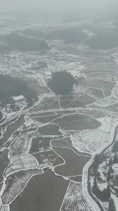 南方农田农业种植冬天雪景竖屏航拍视频