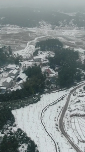 南方农田农业种植冬天雪景竖屏航拍视频