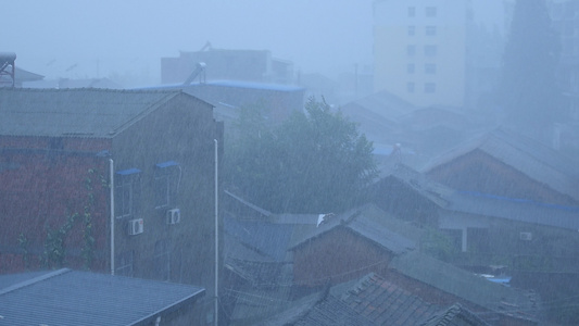 大暴雨视频