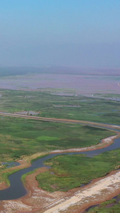 航拍黄河风光黄河入海口自然风光视频