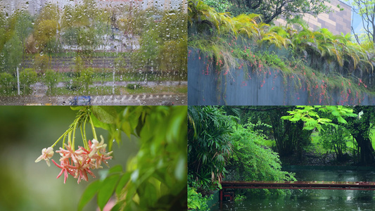 梅雨季节合集视频