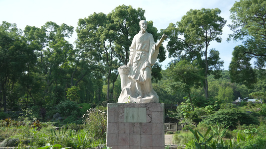 武汉中国科学院武汉植物园本草园自然景观花草植物风光空镜视频