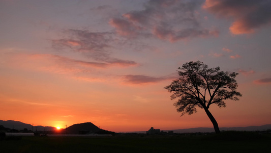 唯美农村日落夕阳西下美丽乡村视频