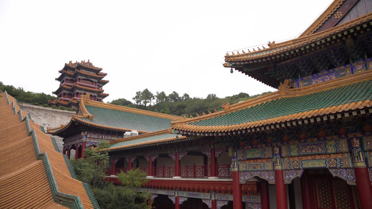 浙江舟山普陀山宝陀讲寺景点4K风景视频视频