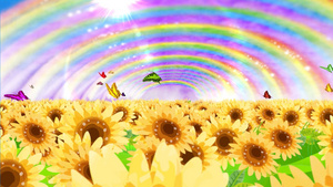 彩虹向日葵15秒视频