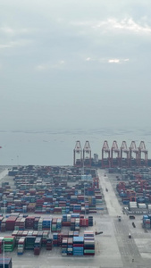 高清竖屏航拍广西北部湾港作业场景视频