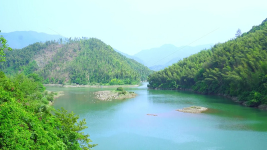 河流自然风景绿植干净纯享唯美治愈树苗山丘溪流小溪视频