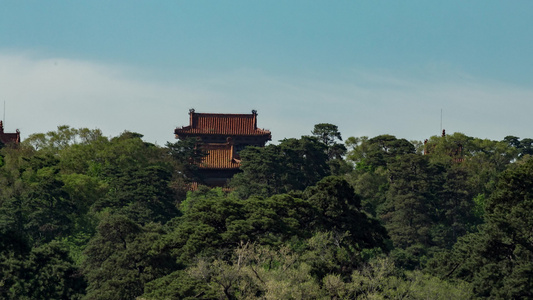 清福陵东陵天柱山密林间大明楼远望视频