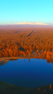 红色森林航拍延边风景天际线视频