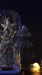 圣诞节装饰闪灯玻璃罩松树艺术字视频