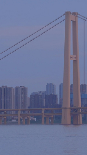 城市地标武汉杨泗港长江大桥货运物流货轮集装箱素材城市素材53秒视频