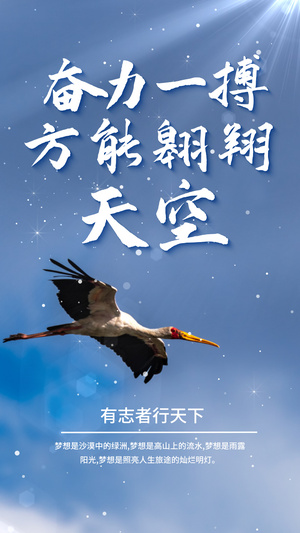 飞鸟摄影主题励志企业文化视频海报15秒视频