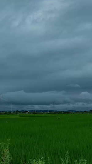 暴雨前夕极端天气14秒视频