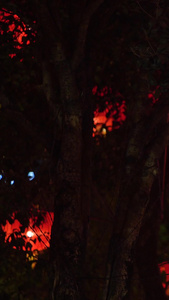 大红灯笼过节新春节日气氛舞台背景视频