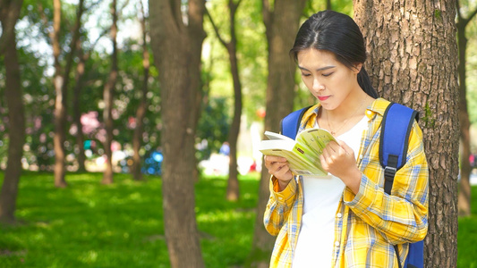 靠在树边看书的女学生视频