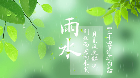 4K传统二十四节气雨水AE模板视频