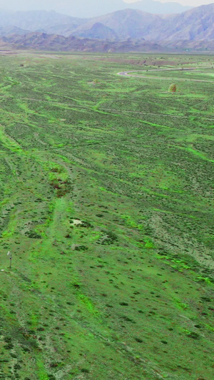 航拍宁夏银川贺兰山下的草原美景塞上江南16秒视频