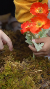 孩子在屏幕前点击操作认识植物花草学习花草视频