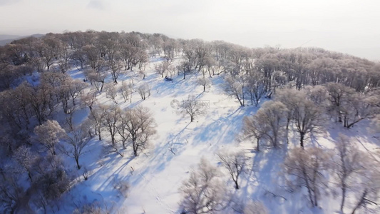 4k航拍吉林四方顶子树木雪淞风光视频