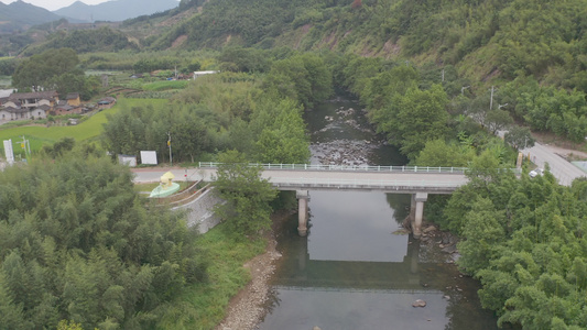 福建省龙岩市漳平水仙生态茶园航拍视频