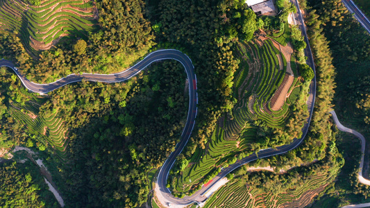 航拍山里的道路[林子里]视频