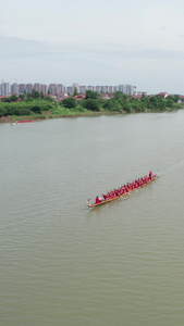 航拍端午民俗活动赛龙舟视频