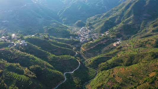 大山里的乡村视频