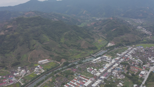 福建省龙岩市漳平水仙生态茶园航拍视频