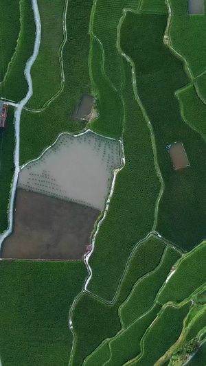 航拍贵州西江梯田自然风光视频素材平面构成51秒视频