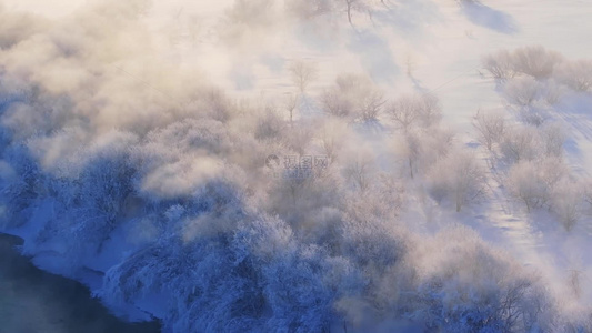 4k航拍河边晨雾植物雾凇风景视频
