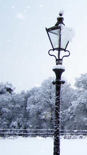 冬季雪景视频素材浪漫雪景10秒视频