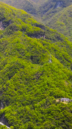 神农架神农坛森林自然航拍5A风景区64秒视频