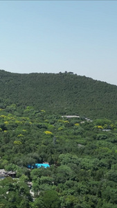 山东济南千佛山风景区4a景区航拍视频