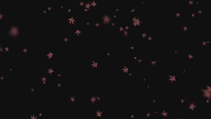 枫叶飘落透明通道15秒视频