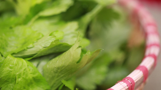 新鲜芹菜叶子维生素叶绿素视频