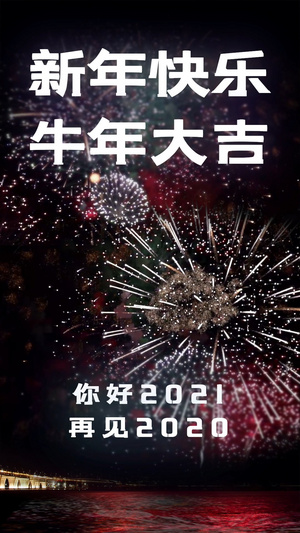 新年烟花喜迎2021告别2020文字动画视频海报16秒视频