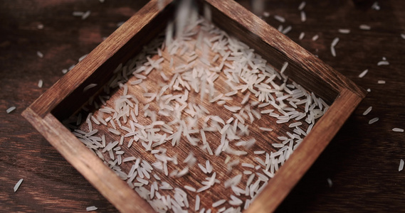猫牙米 泰国香米下降4k升格慢镜视频