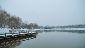 雪景冬天湖水43秒视频