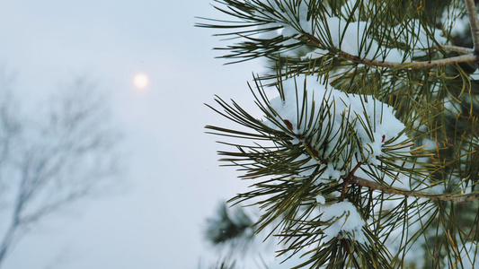 太阳雪景的唯美镜头素材视频