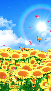 唯美的太阳花背景素材春暖花开视频