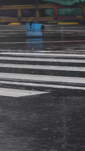 拍摄雨天的路口斑马线合集视频
