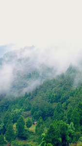 实拍四川大山中的传统古村落土木混合青瓦房云雾缭绕视频