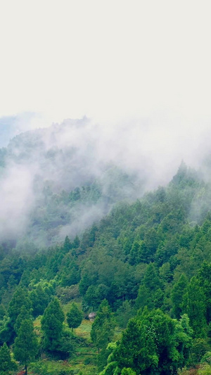 实拍四川大山中的传统古村落土木混合青瓦房云雾缭绕10秒视频