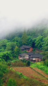 实拍四川大山中的传统古村落土木混合青瓦房云雾缭绕视频